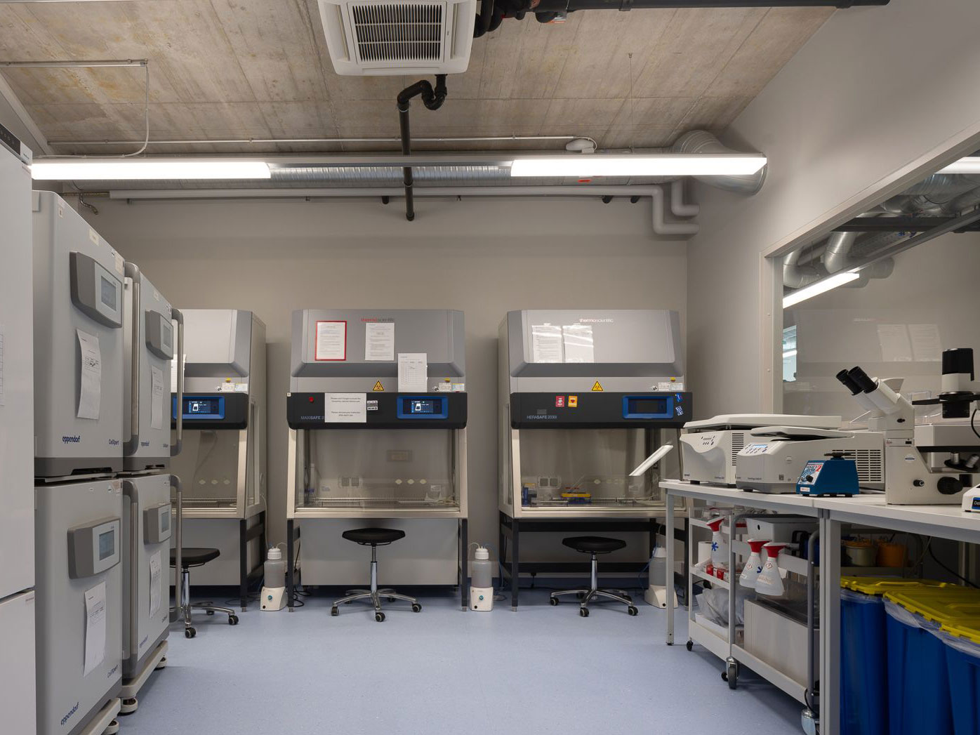 Cell culture room