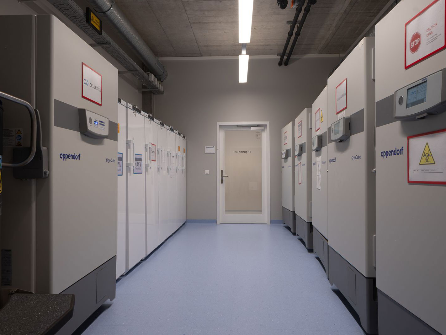 Freezer room
