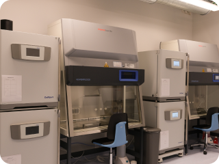 Cell culture room