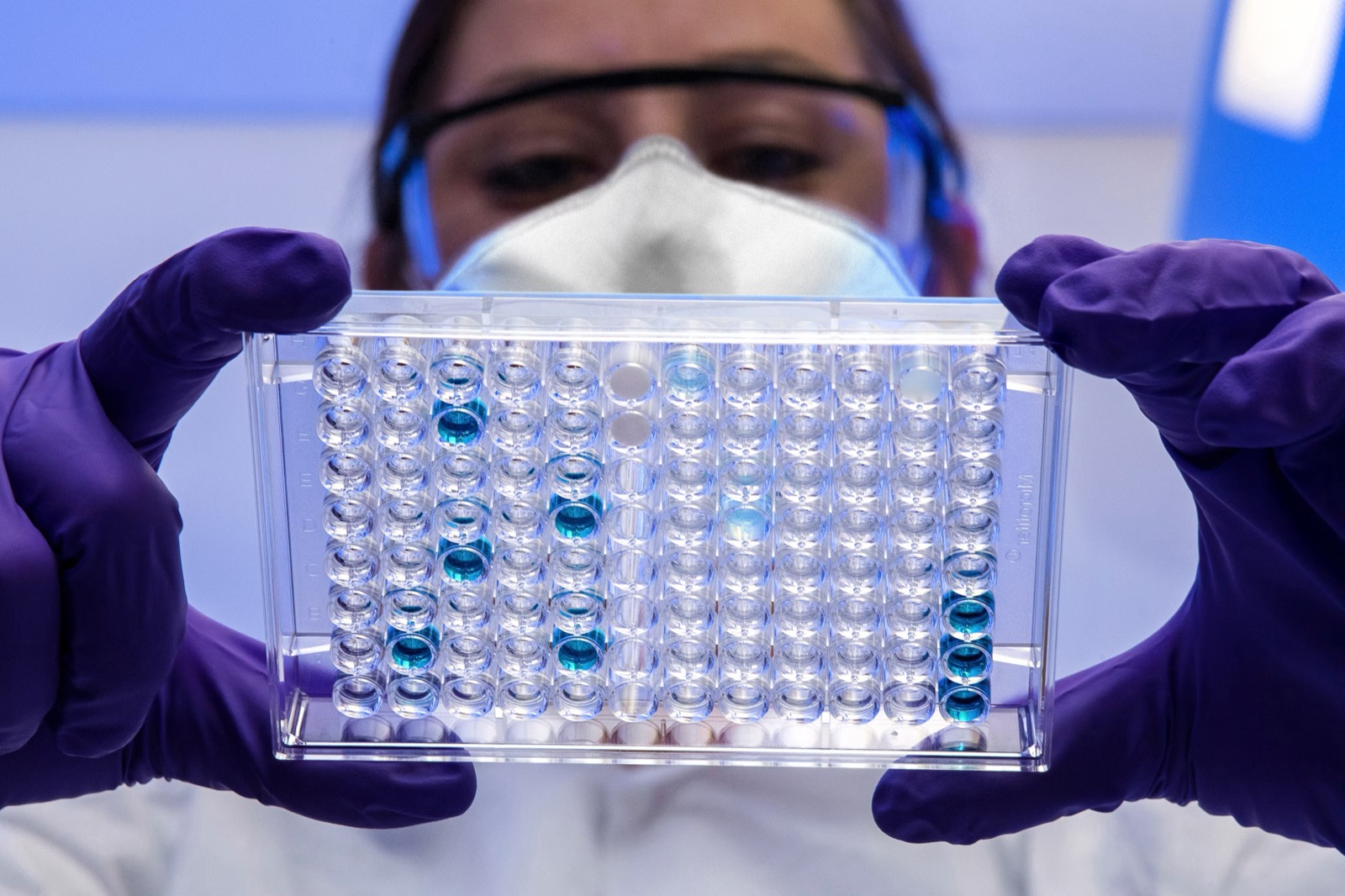 In Vitro Assays